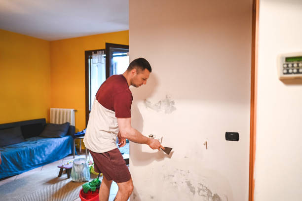 Best Mold Testing  in Holyoke, CO