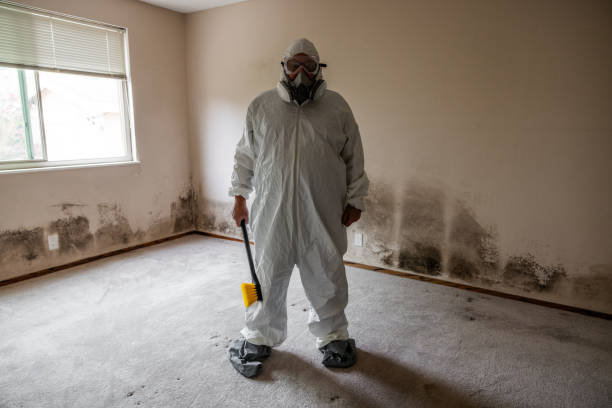 Certified Mold Removal in Holyoke, CO